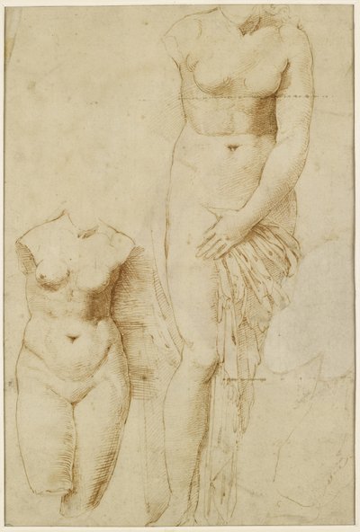 Two Figures of Aphrodite [recto]; Male Figure in Action [verso] by Raffaello Sanzio Raphael